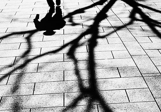 Black and white image of shadows of man and creeping tree branches